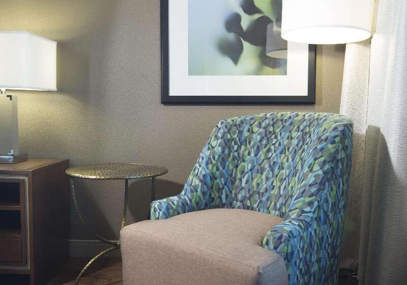 سوئیت با تخت بزرگ, Hilton Garden Inn Longview