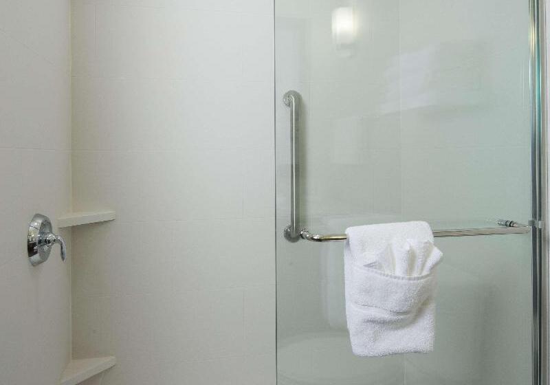 سوئیت با تخت بزرگ, Hilton Garden Inn Longview