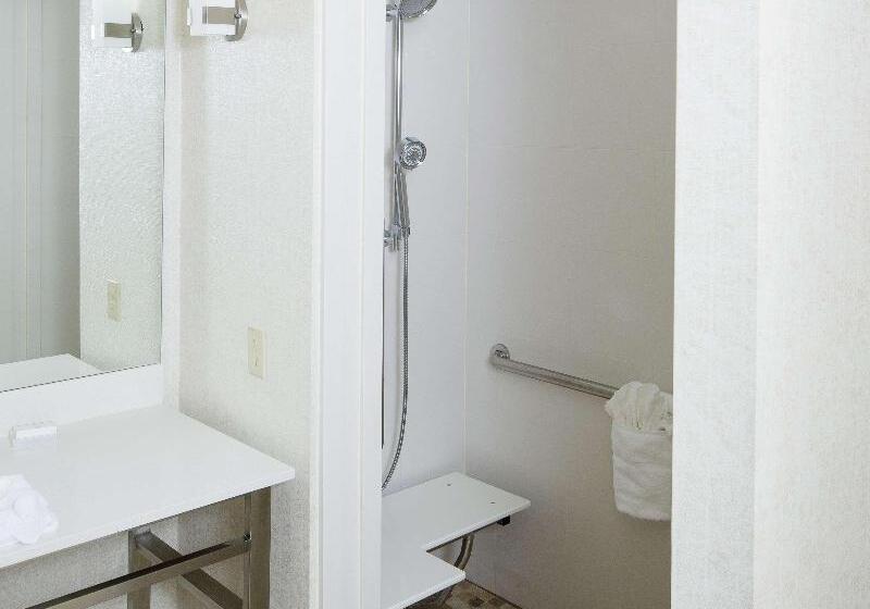 اتاق استاندارد با تخت بزرگ, Hilton Garden Inn Longview