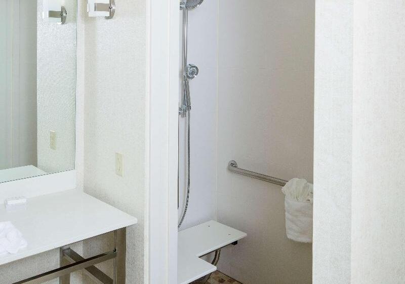 اتاق استاندارد با تخت بزرگ, Hilton Garden Inn Longview