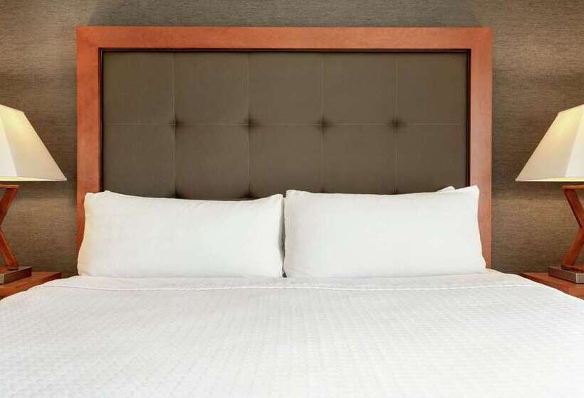 استودیوی استاندارد, Home2 Suites By Hilton St. Louis/forest Park