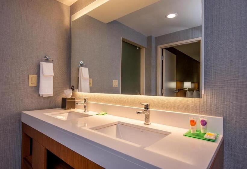 اتاق استاندارد با تخت بزرگ, Hyatt Place Bowling Green