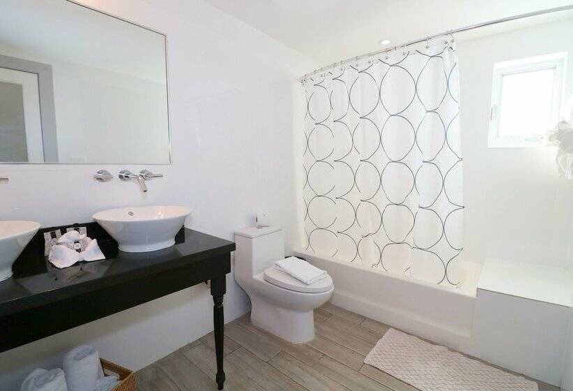 استودیوی استاندارد, Seaside All Suites