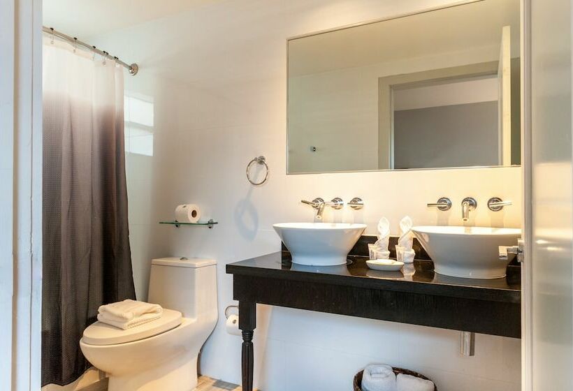 استودیوی استاندارد, Seaside All Suites