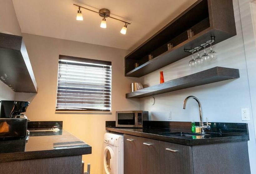 استودیوی استاندارد, Seaside All Suites