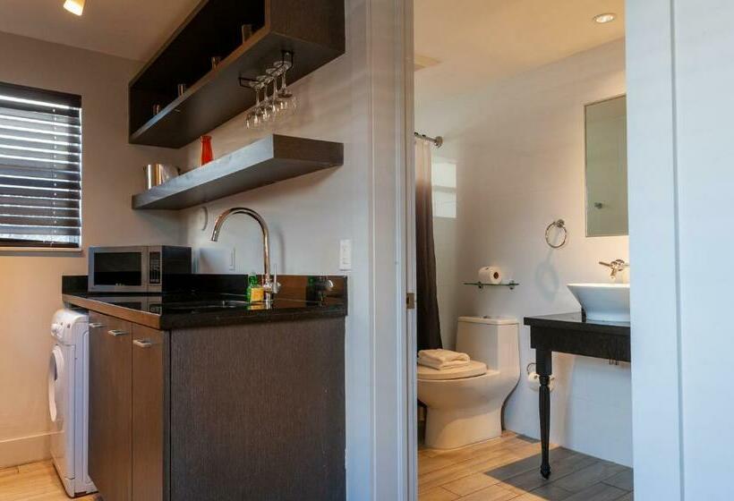 استودیوی استاندارد, Seaside All Suites