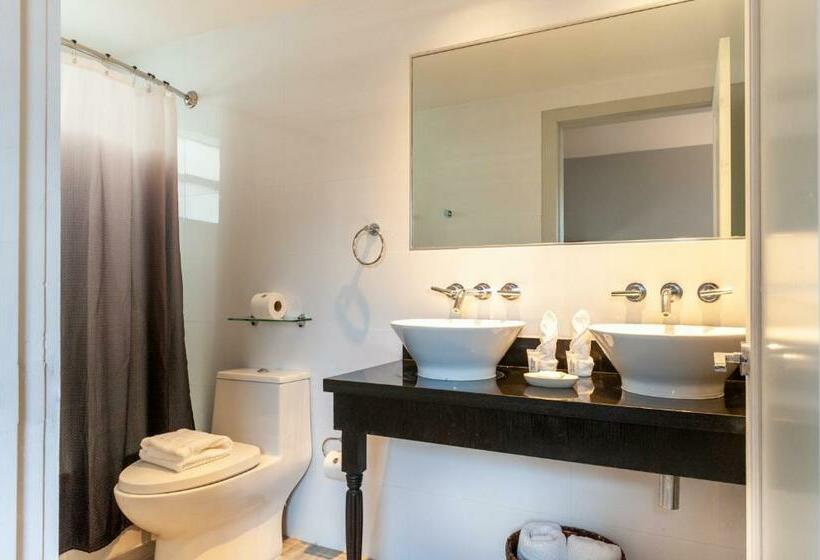 استودیوی استاندارد, Seaside All Suites