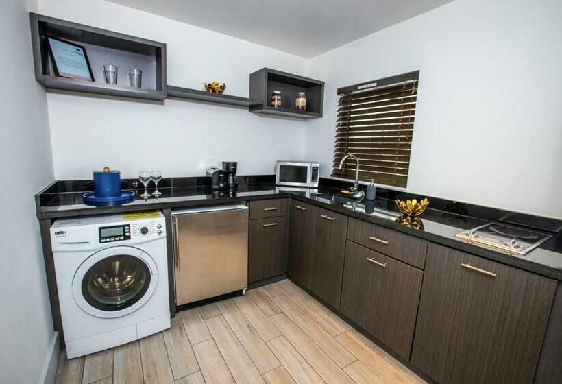 استودیوی استاندارد, Seaside All Suites