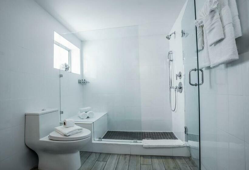استودیوی استاندارد, Seaside All Suites