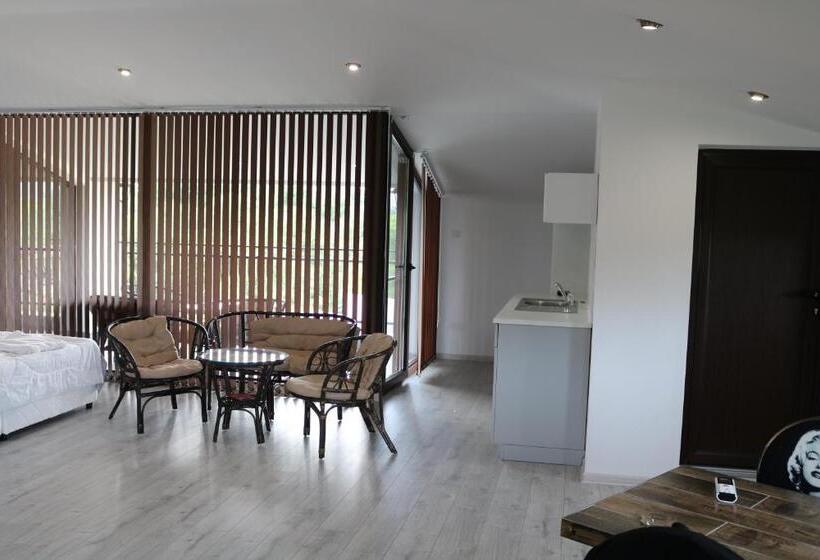 آپارتمان خانوادگی, Spa Guest House Valentina