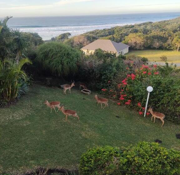 اتاق استاندارد با چشم‌انداز دریا, Cove Rock Stay