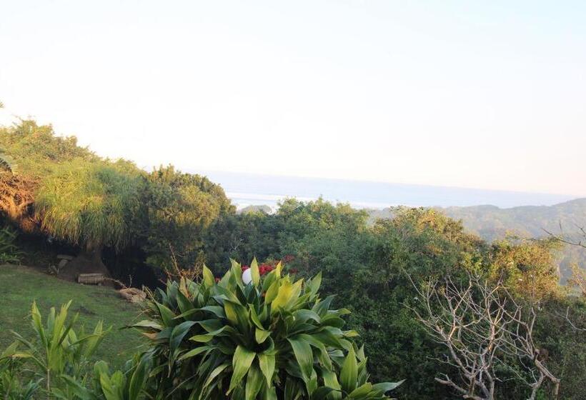 اتاق استاندارد با چشم‌انداز باغ, Cove Rock Stay