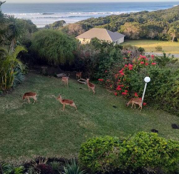 اتاق خانوادگی, Cove Rock Stay