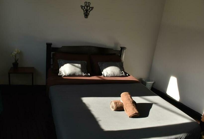 اتاق استاندارد با سرویس بهداشتی مشترک, Celaví Hostel