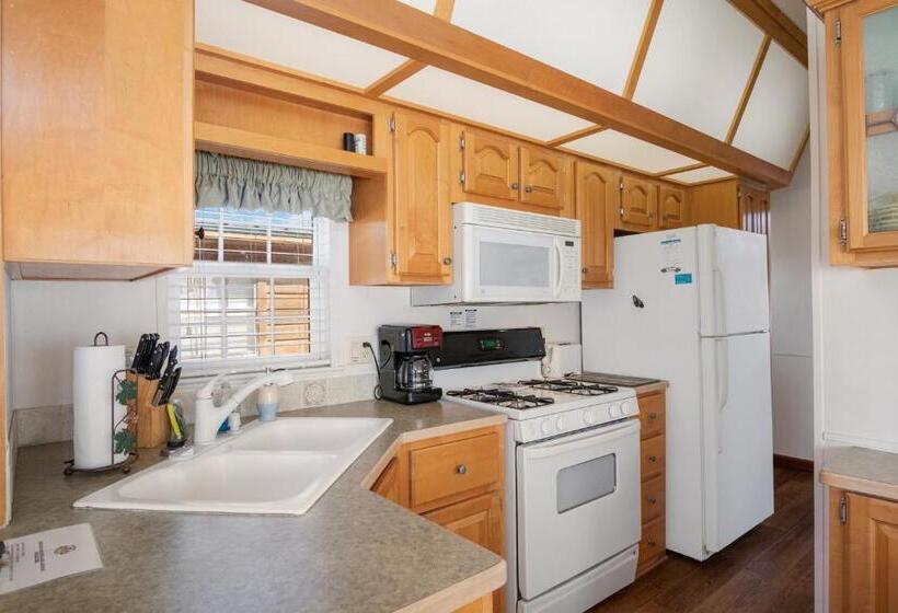 اتاق استاندارد, River Run Park Model Cabin On Guadalupe