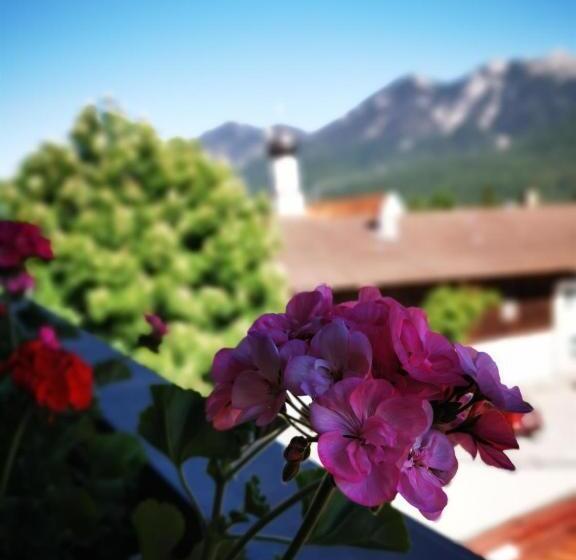 اتاق استاندارد, Gasthof & Hotel Zur Post