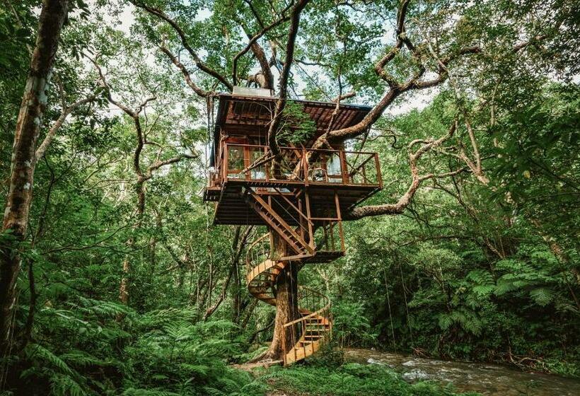 سوئیت 2 خوابه, Treeful Treehouse Sustainable Resort