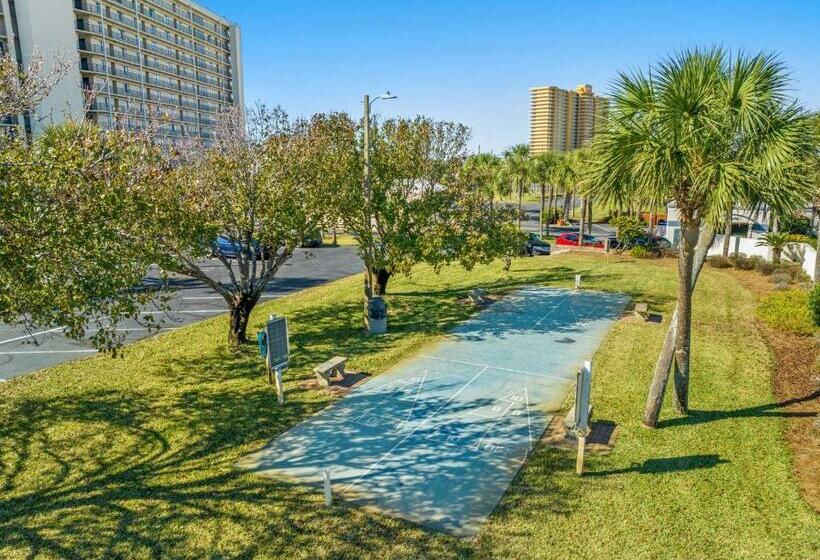 آپارتمان 1 خوابه با چشم‌انداز دریا, Ocean Front Turtle S Nest At The Commodore 202