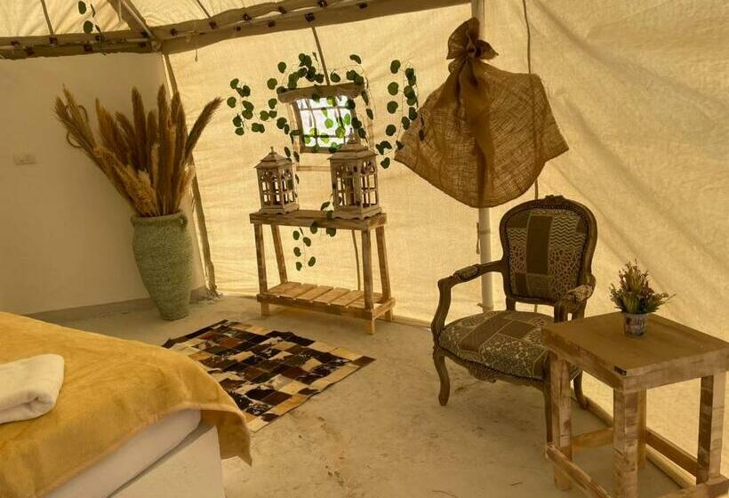 اتاق سوپریور, Shahrazad Camp In White Desert, Egypt
