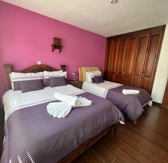 اتاق استاندارد, La Casa De Las Flores Spa