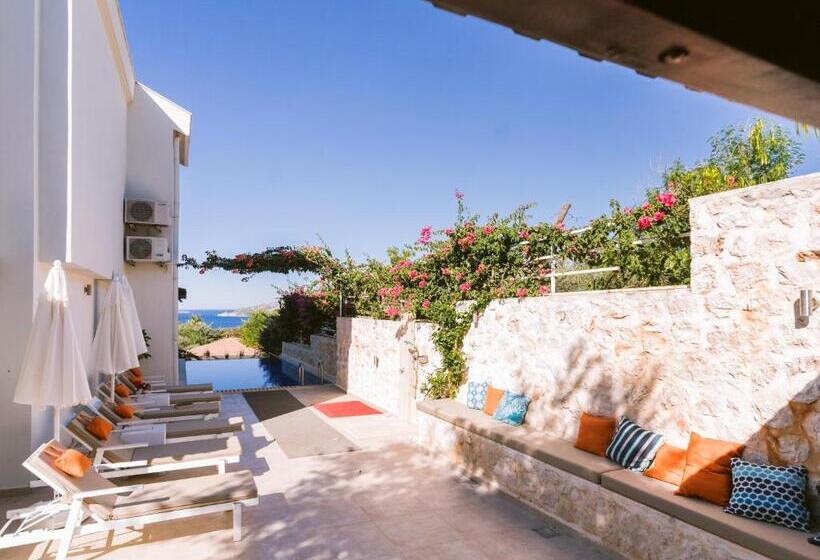 ویلای 1 خوابه با چشم‌انداز دریا, Villa Lalaland
