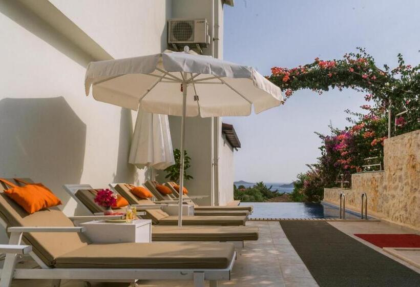 ویلای 1 خوابه با چشم‌انداز دریا, Villa Lalaland