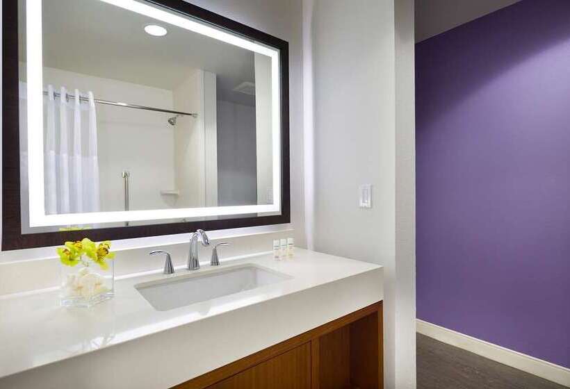 اتاق استاندارد با تخت بزرگ, Hilton Cleveland Downtown