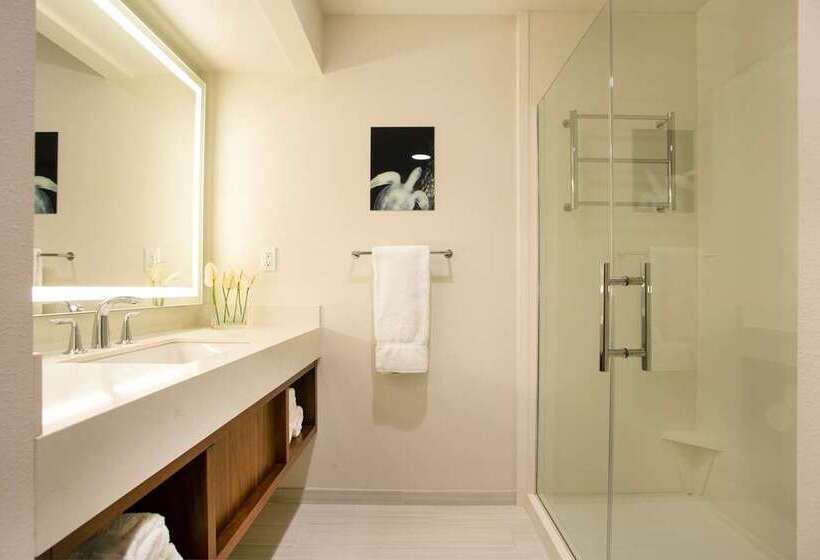 اتاق استاندارد با تخت بزرگ, Hilton Cleveland Downtown