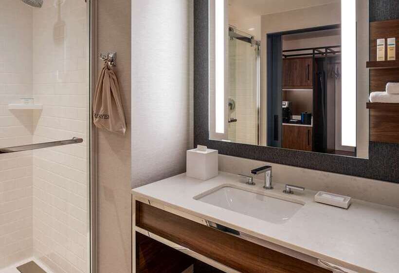 اتاق استاندارد با تخت بزرگ, Hilton Cleveland Downtown