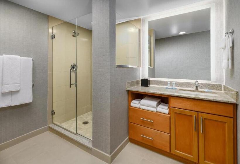 استودیو استاندارد با تخت کینگ, Hyatt House Fort Lauderdale Airport/cruise Port