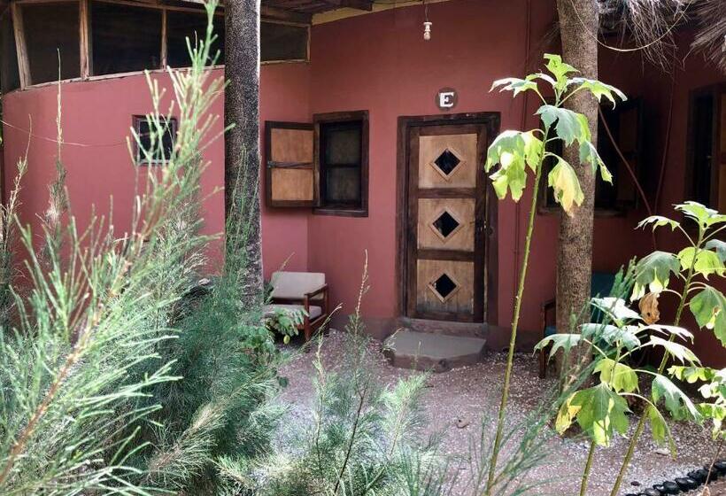 اتاق لوکس, Nemasu Ecolodge