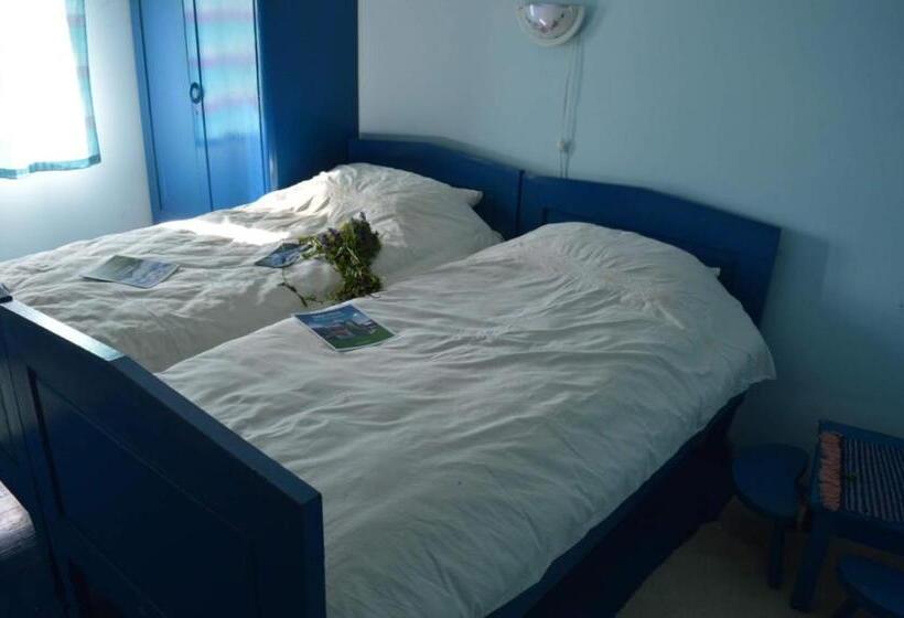 اتاق سوپریور, Mystic Forest Hostel