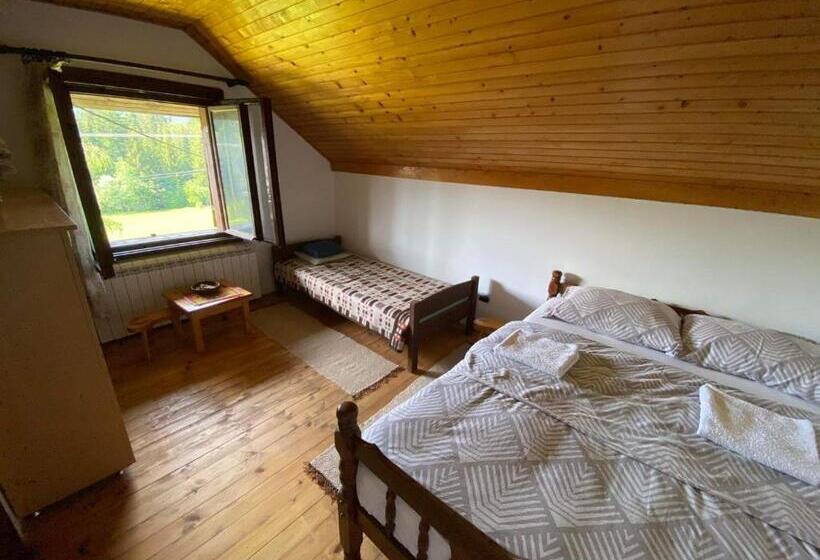 اتاق سوپریور, Mystic Forest Hostel
