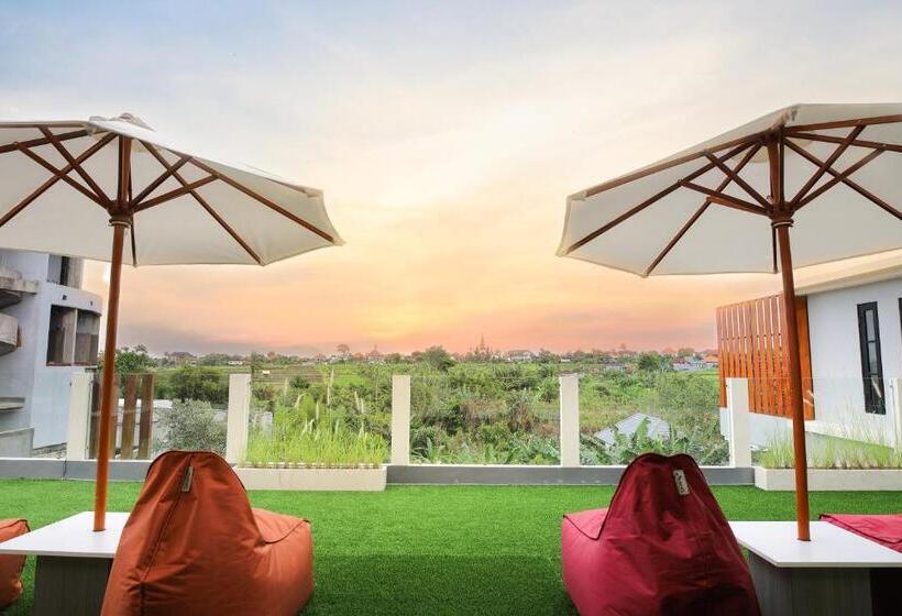 سوییت, Gm Guest House Canggu