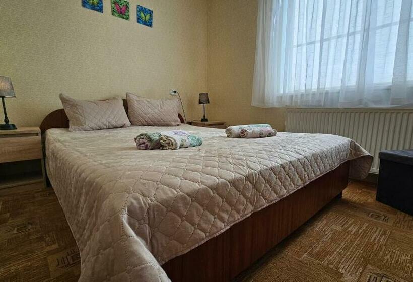 اتاق استاندارد با سرویس بهداشتی مشترک, Svečių Namai Pervalkoje