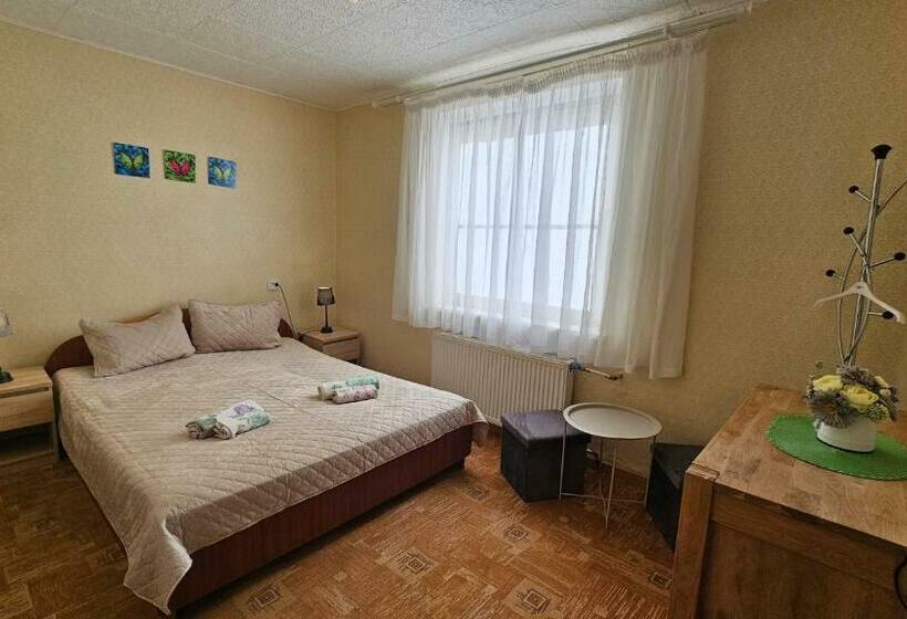 اتاق استاندارد با سرویس بهداشتی مشترک, Svečių Namai Pervalkoje