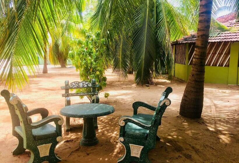 اتاق اکونومی, New Land Guest House