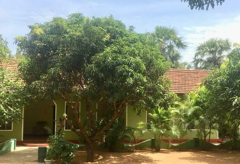 اتاق خانوادگی با چشم‌انداز باغ, New Land Guest House