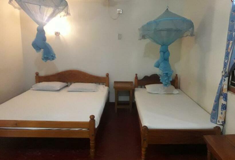 اتاق خانوادگی با چشم‌انداز باغ, New Land Guest House