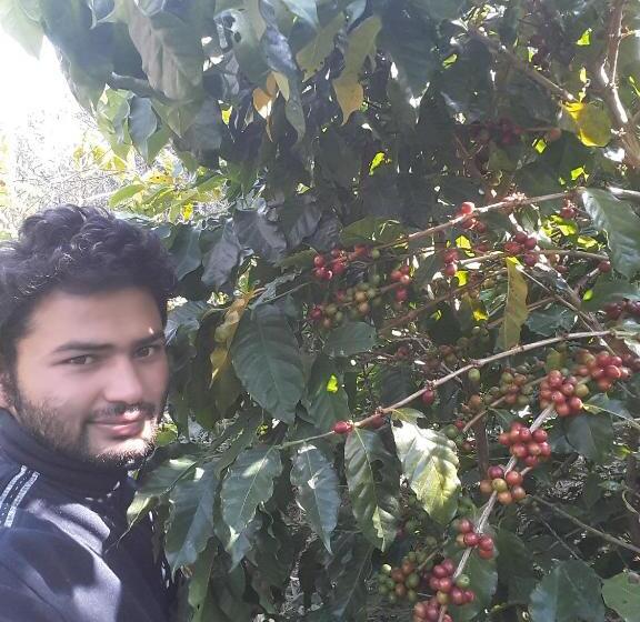اتاق استاندارد, Begnas Coffee House &