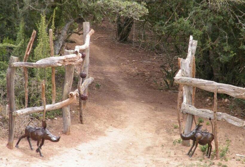 بانگلوی استاندارد, Addo Dung Beetle Guest Farm