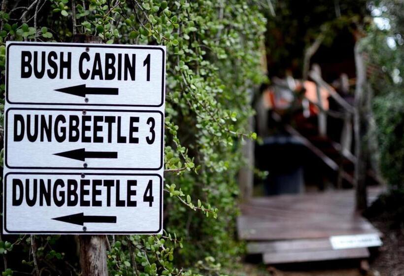 سوییت, Addo Dung Beetle Guest Farm