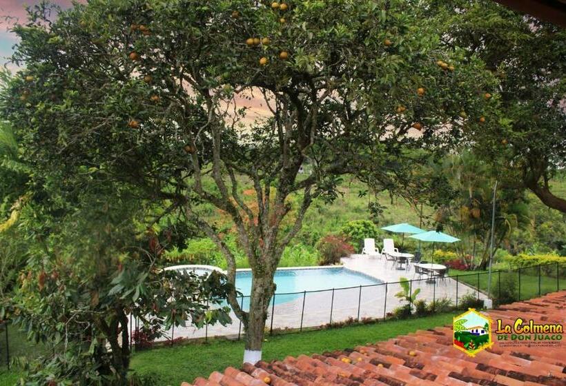 اتاق استاندارد سه نفره, Finca La Colmena De Don Juaco