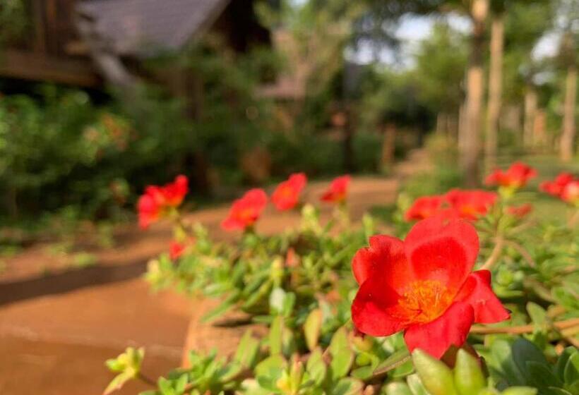 اتاق خانوادگی, Khu Du Lịch Sinh Thái Akoea