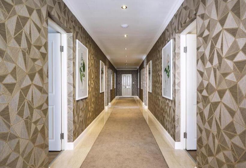 اتاق سوپریور با تخت بزرگ, Alluvia Boutique Winery & Luxury Accommodation