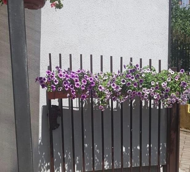 آپارتمان 1 خوابه با بالکن, Sun Garden Sarajevo