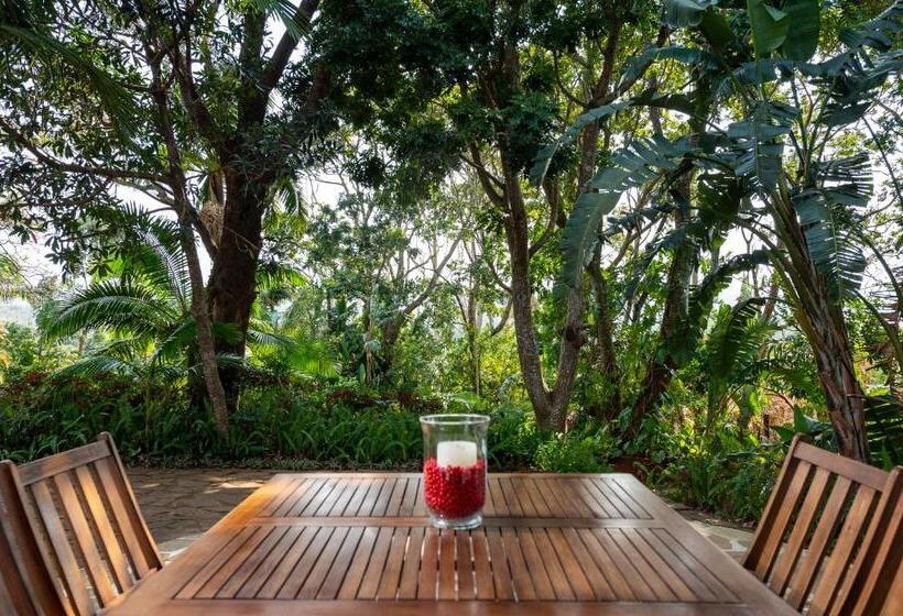 Номер Стандарт, Zesty Guesthouse