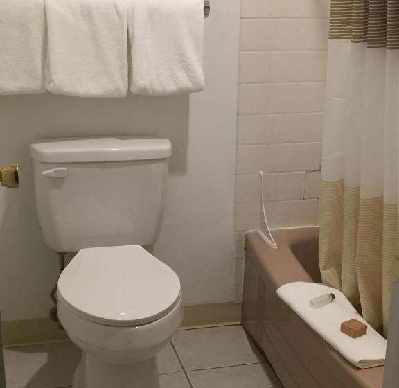 اتاق لوکس, Cougar Land Motel