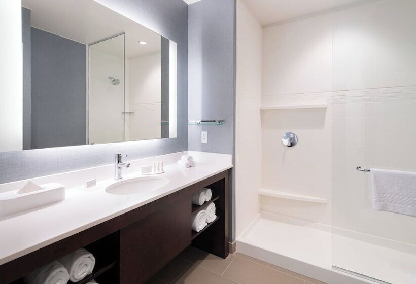 سوییت, Residence Inn By Marriott Chicago Downtown/loop