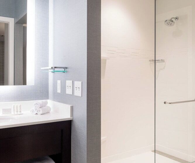 سوئیت 2 خوابه, Residence Inn By Marriott Chicago Downtown/loop